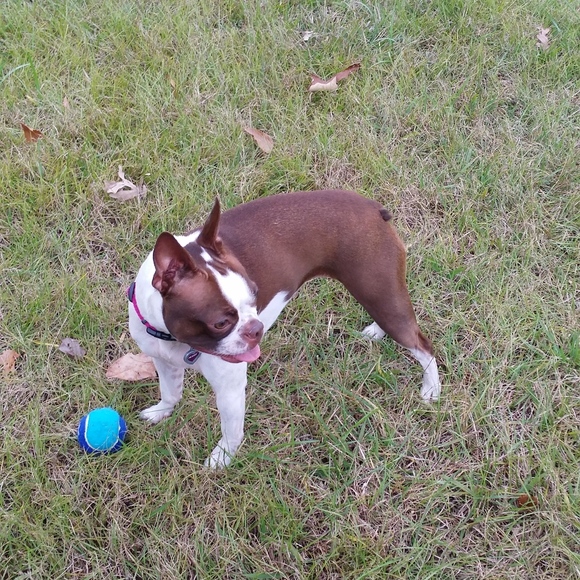 Meet your Posher, Seasun2375 - Picture 1 of 6